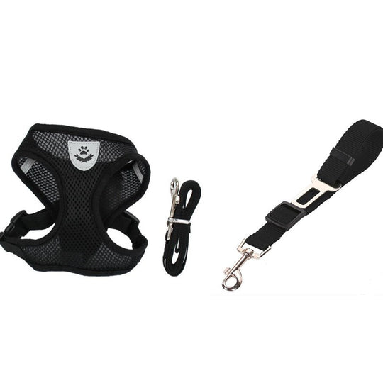 2-in-1 Pet Car Seat Belt & Leash