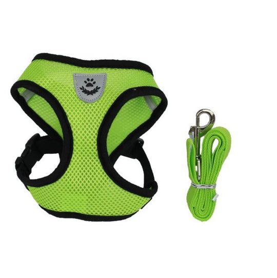 2-in-1 Pet Car Seat Belt & Leash