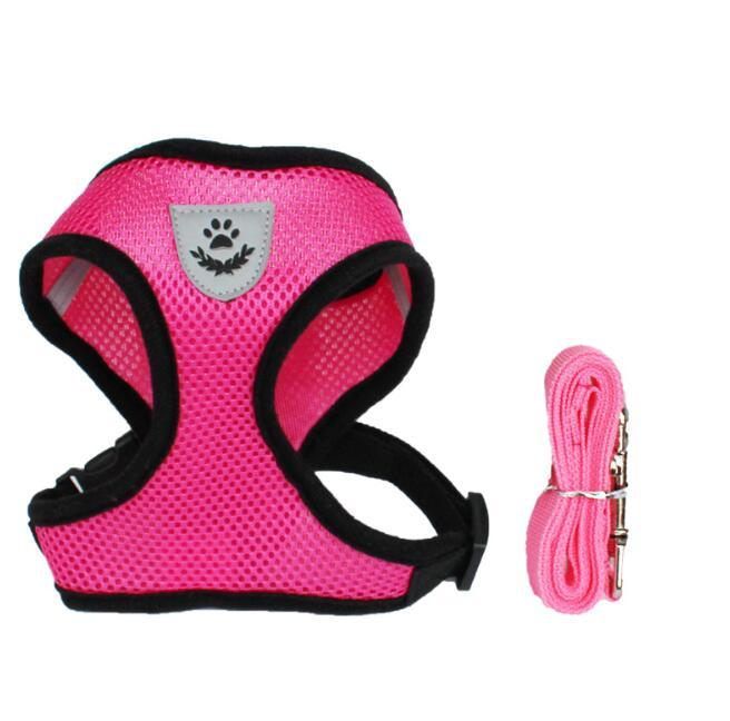 2-in-1 Pet Car Seat Belt & Leash