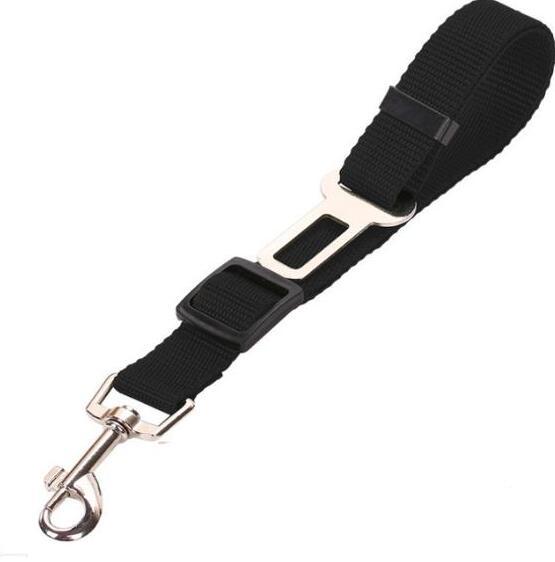 2-in-1 Pet Car Seat Belt & Leash