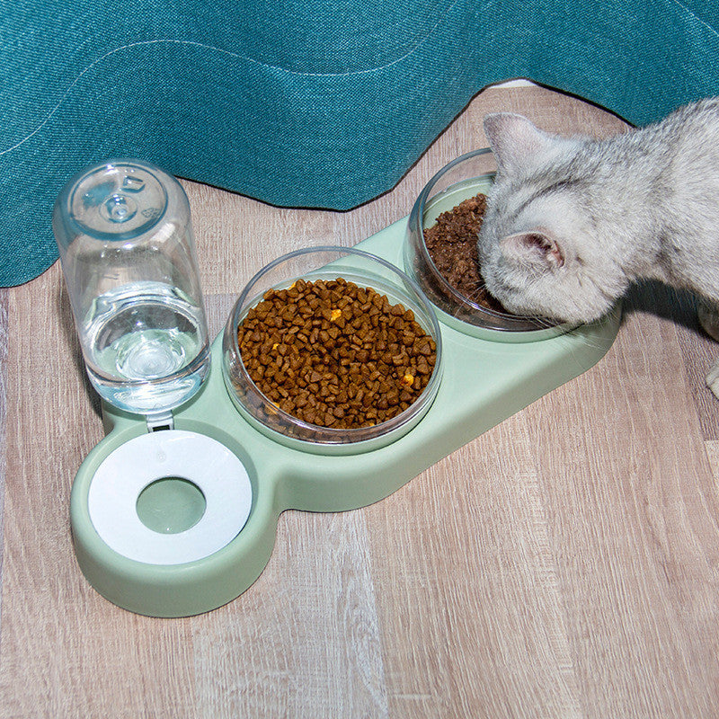 Automatic Pet Feeder with Water Fountain & Raised Double Bowl Stand