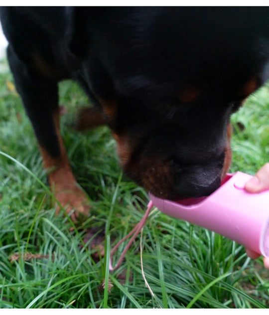 2-in-1 Portable Dog Water Bottle & Food Dispenser