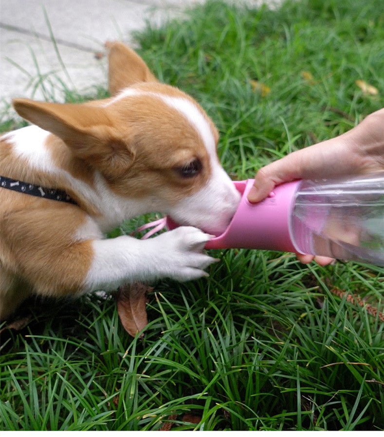 2-in-1 Portable Dog Water Bottle & Food Dispenser