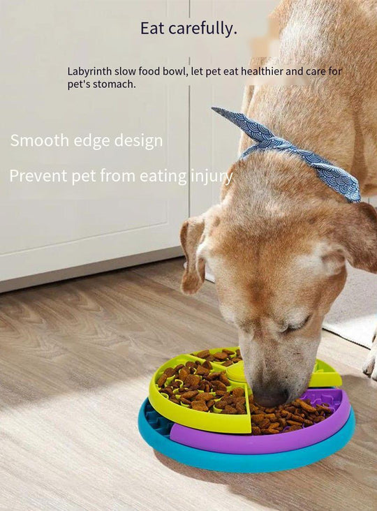 Slow Food Bowl with Puzzle Feeder