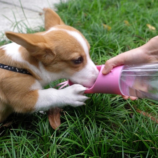 2-in-1 Portable Dog Water Bottle & Food Dispenser