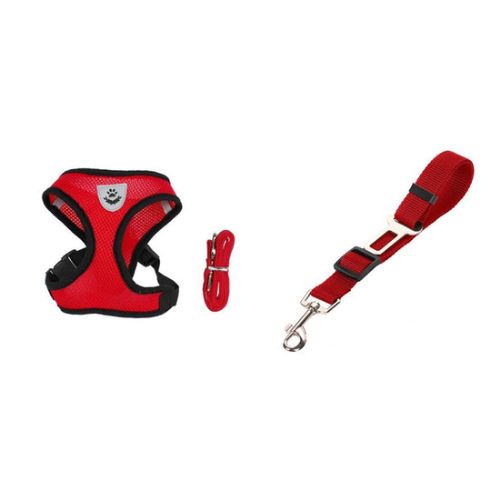 2-in-1 Pet Car Seat Belt & Leash