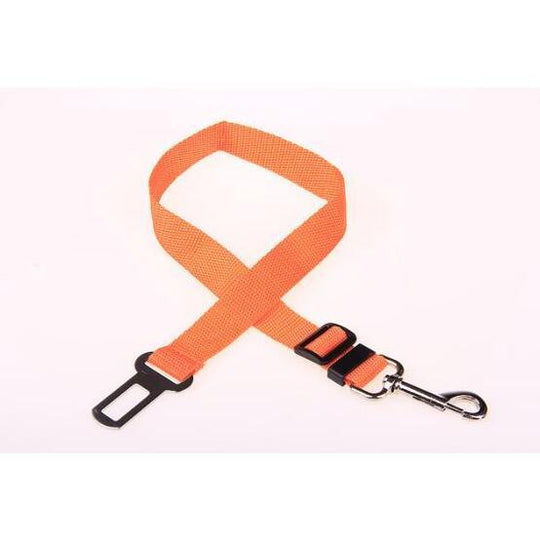 2-in-1 Pet Car Seat Belt & Leash