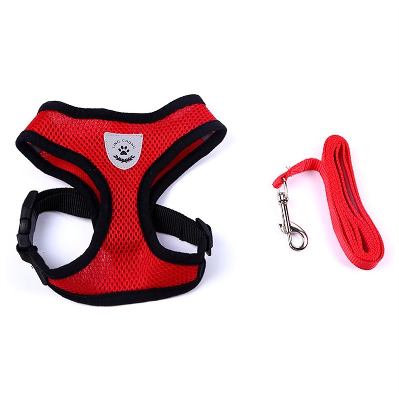 2-in-1 Pet Car Seat Belt & Leash