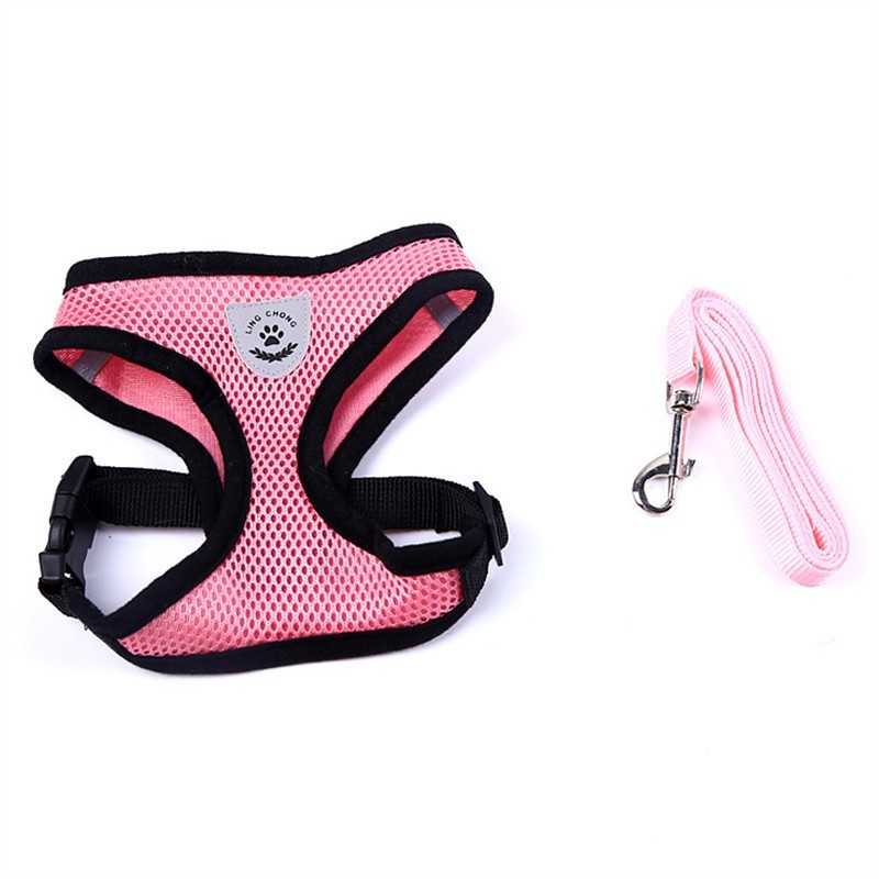 2-in-1 Pet Car Seat Belt & Leash