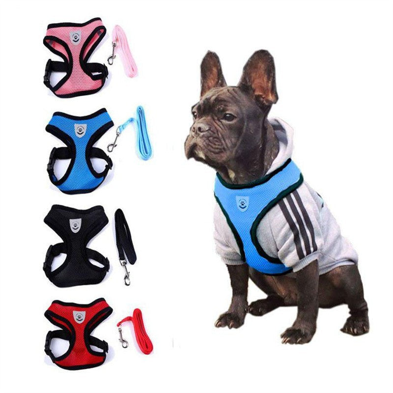 2-in-1 Pet Car Seat Belt & Leash