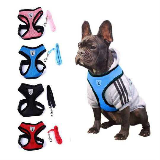 2-in-1 Pet Car Seat Belt & Leash