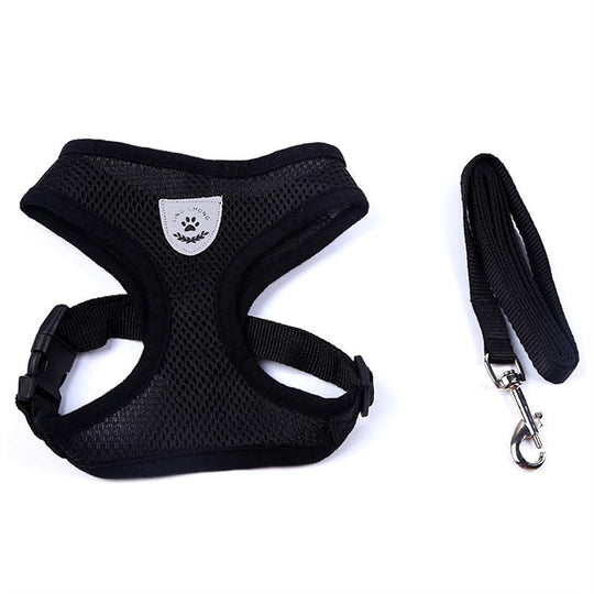 2-in-1 Pet Car Seat Belt & Leash