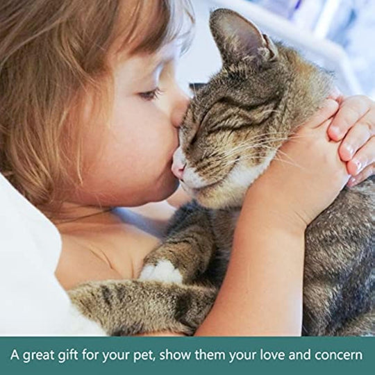 Slow Feeding Pet Bowl with Detachable Water Tray