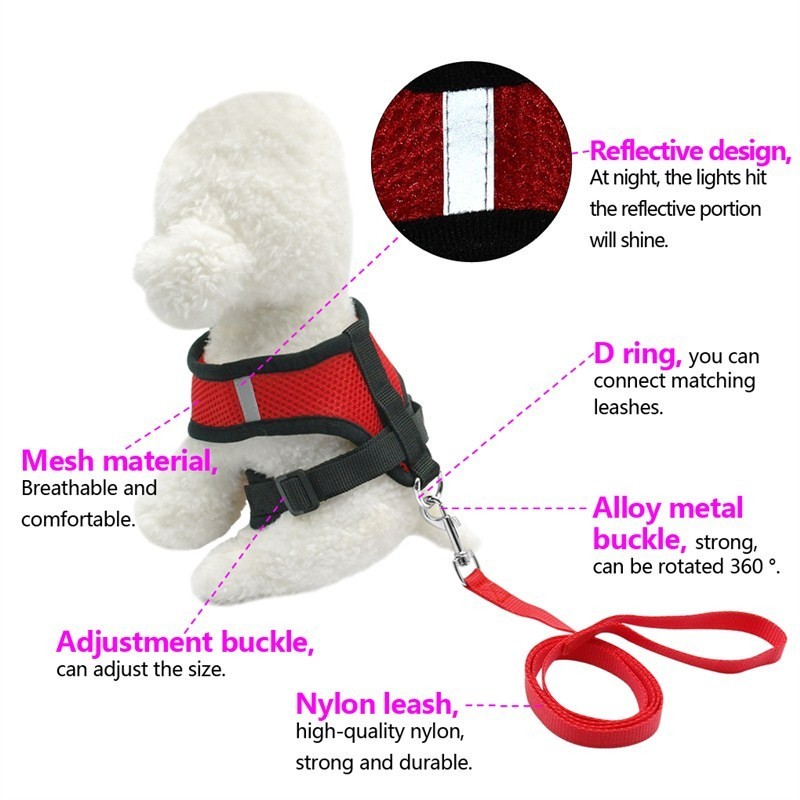 2-in-1 Pet Car Seat Belt & Leash
