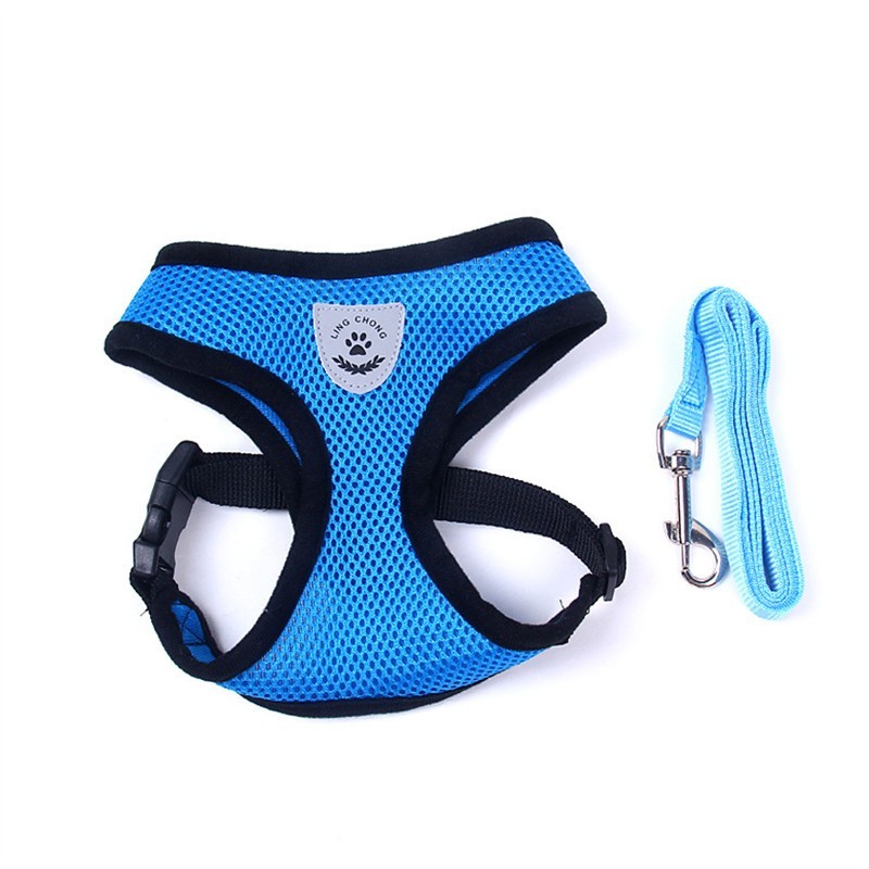 2-in-1 Pet Car Seat Belt & Leash