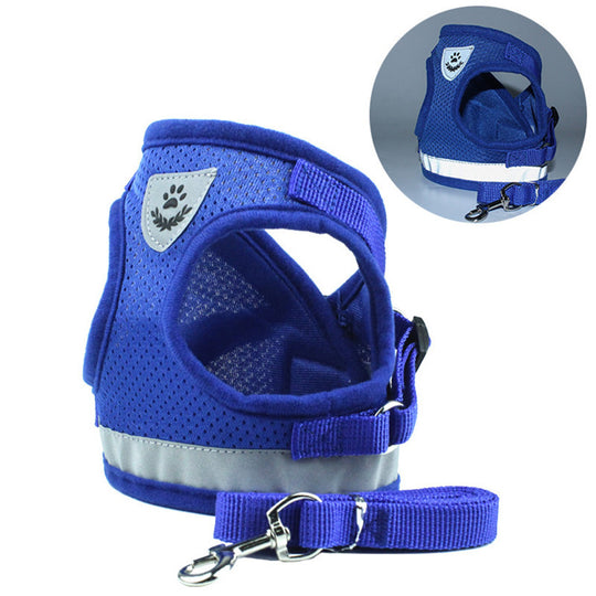 2-in-1 Pet Car Seat Belt & Leash