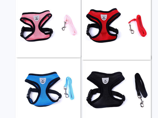 2-in-1 Pet Car Seat Belt & Leash