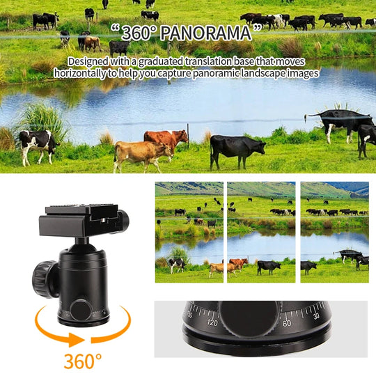 Portable Mini Tripod
