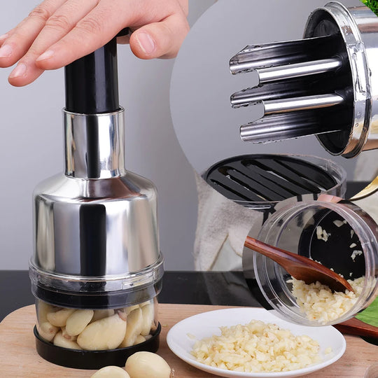 Stainless Steel Garlic Press