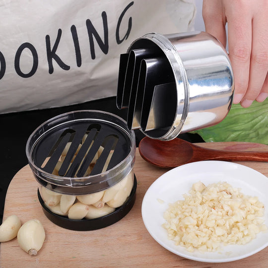 Stainless Steel Garlic Press