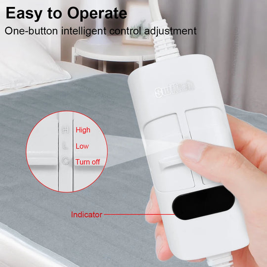 Electric Blanket 220V/110V