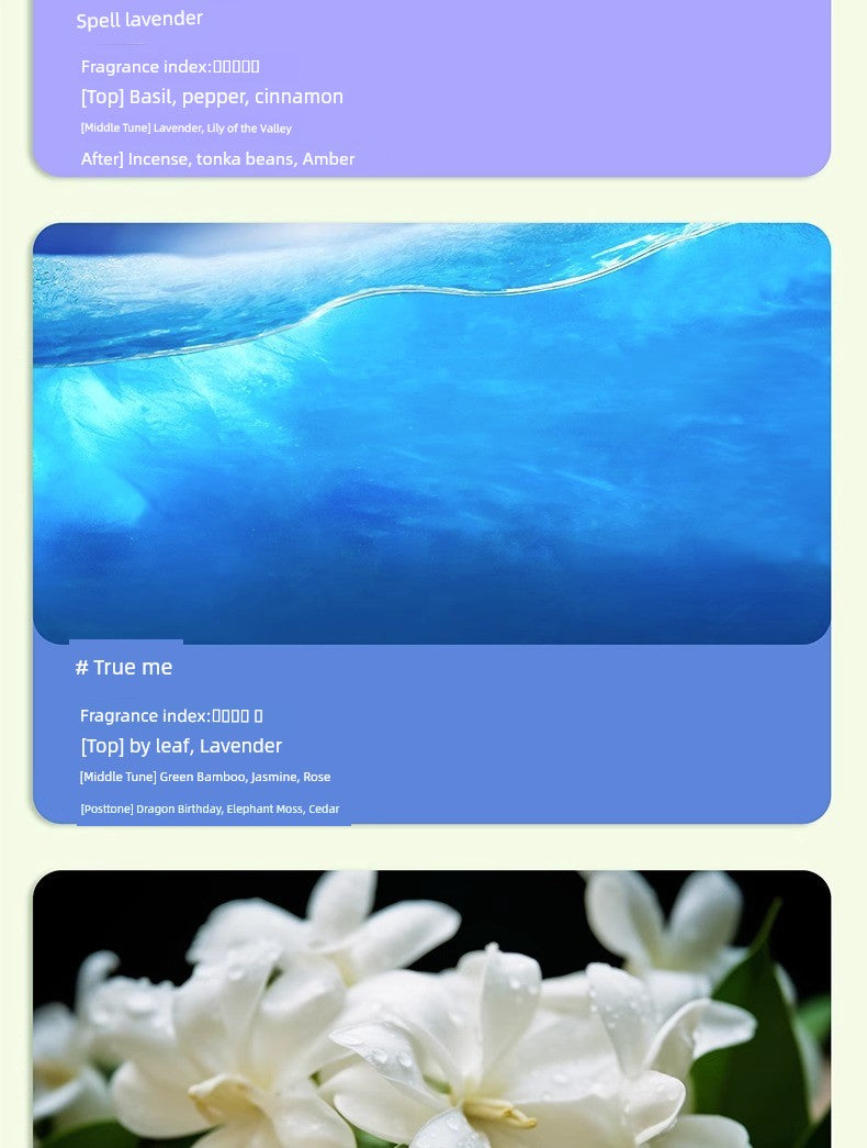 Long-Lasting Home Aroma Diffuser Air Freshener for Bedroom, Toilet & Indoor Spaces