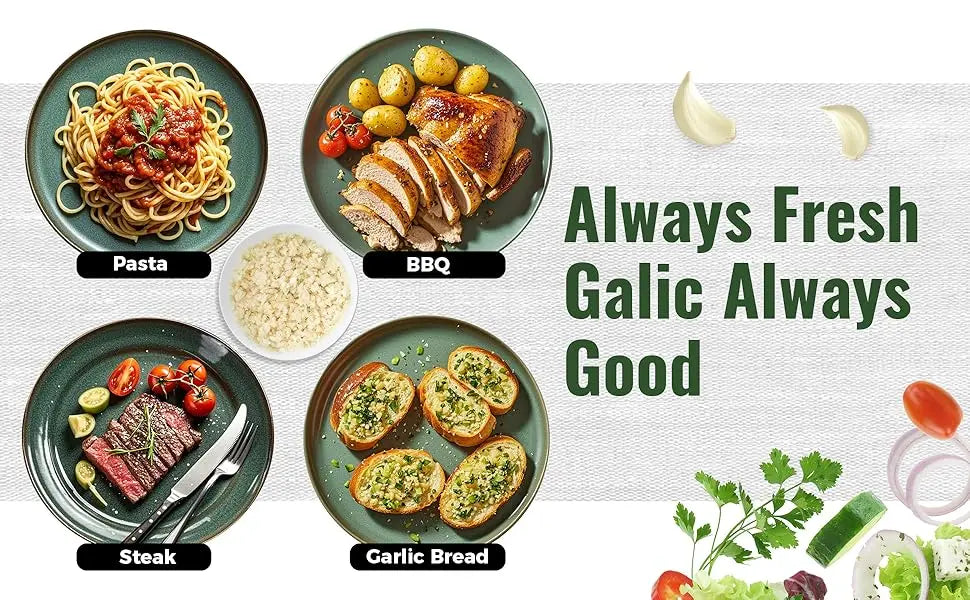Stainless Steel Garlic Press Rocker