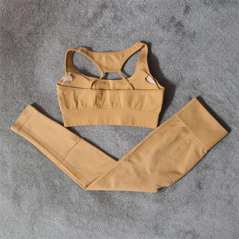 Seamless Women’s Fitness Yoga Set