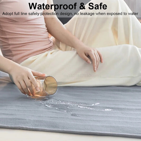 Electric Blanket 220V/110V