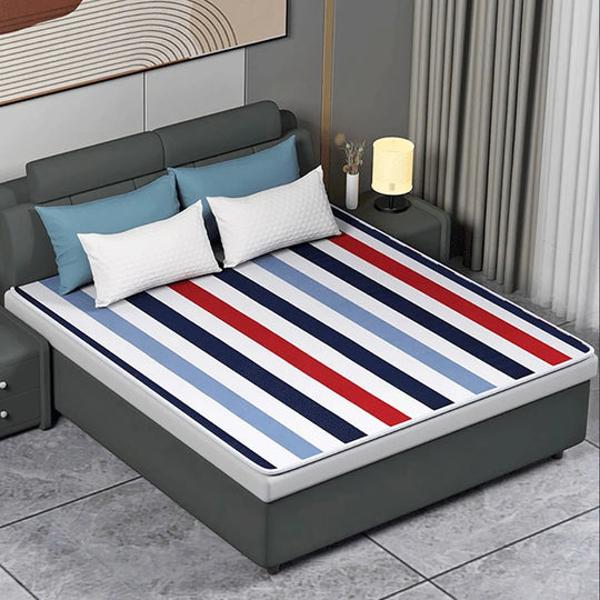 Electric Blanket 220V/110V