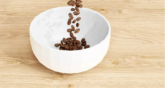 Sealed Kitchen Grain & Food Storage Container