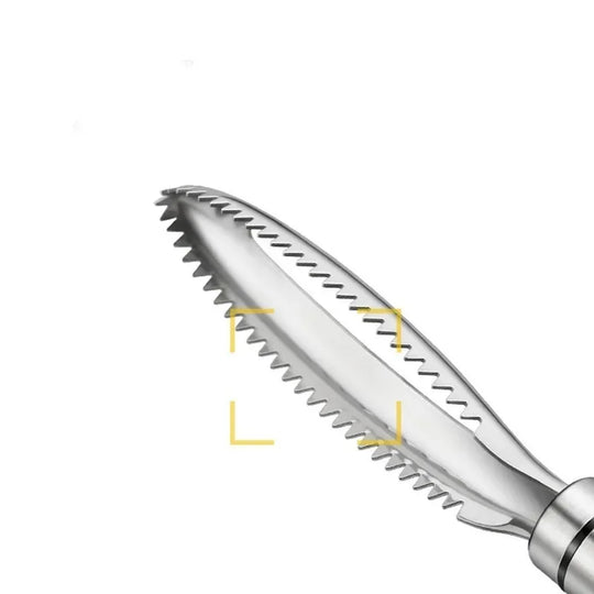 Stainless Steel Fish Scaler & Cleaning Tool