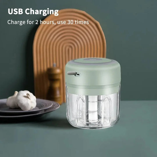250ml Electric Garlic Chopper & Mini Meat Grinder