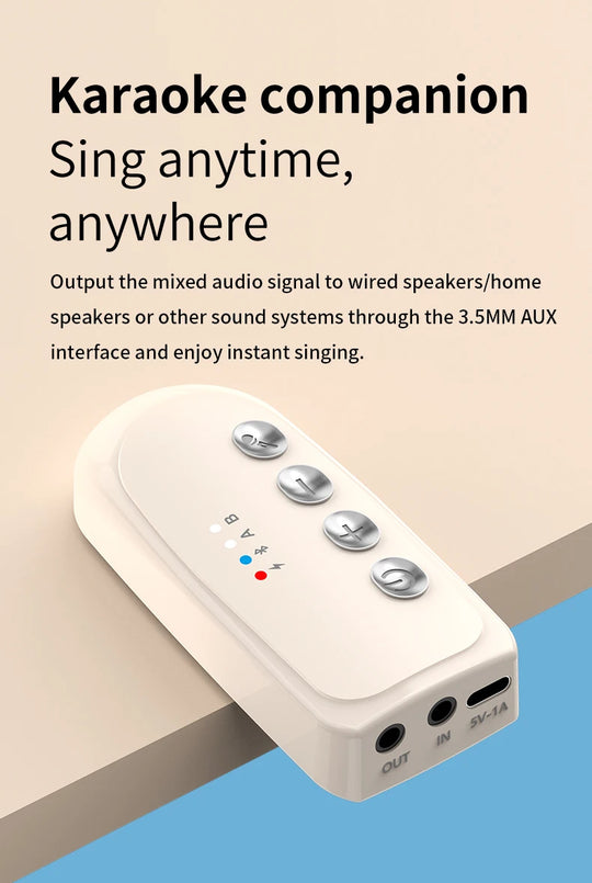 DS-K2 Karaoke Companion Bluetooth 5.3 Wireless Microphones with RGB Lights & DSP Mixer