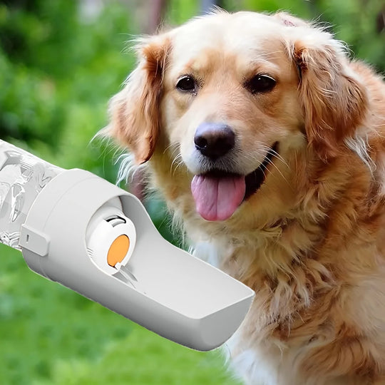 Portable Dog Water Bottle