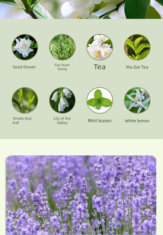 Long-Lasting Home Aroma Diffuser Air Freshener for Bedroom, Toilet & Indoor Spaces