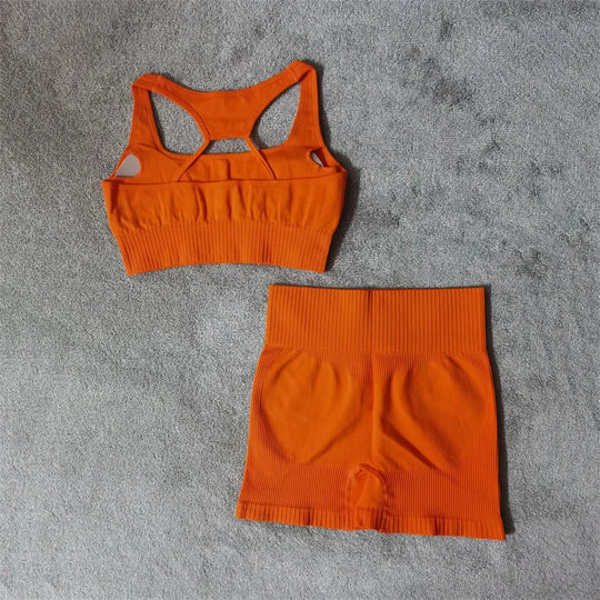Seamless Women’s Fitness Yoga Set