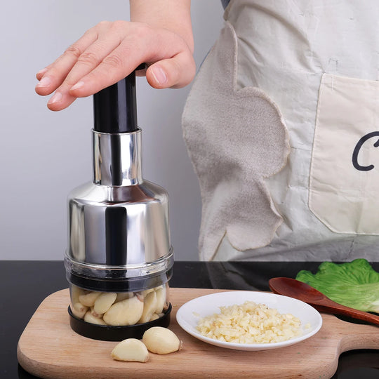 Stainless Steel Garlic Press