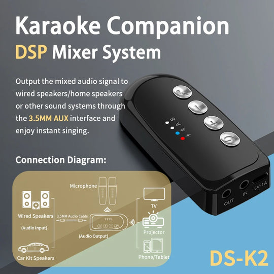 DS-K2 Karaoke Companion Bluetooth 5.3 Wireless Microphones with RGB Lights & DSP Mixer
