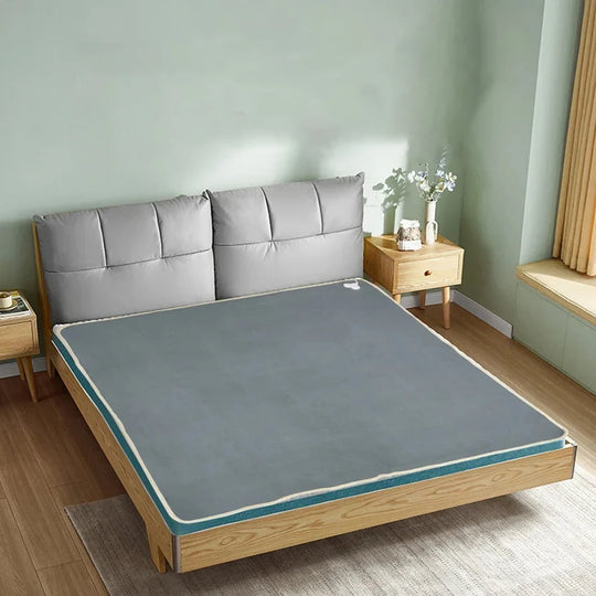 Electric Blanket 220V/110V