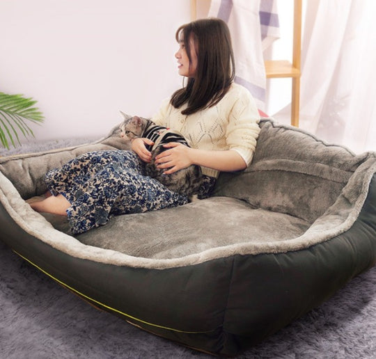 Orthopedic Dog Sofa Bed