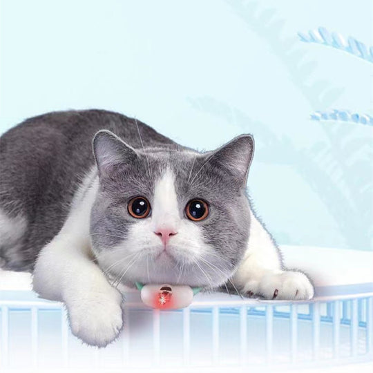 Smart Automatic Laser Cat Toy Collar