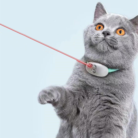 Smart Automatic Laser Cat Toy Collar