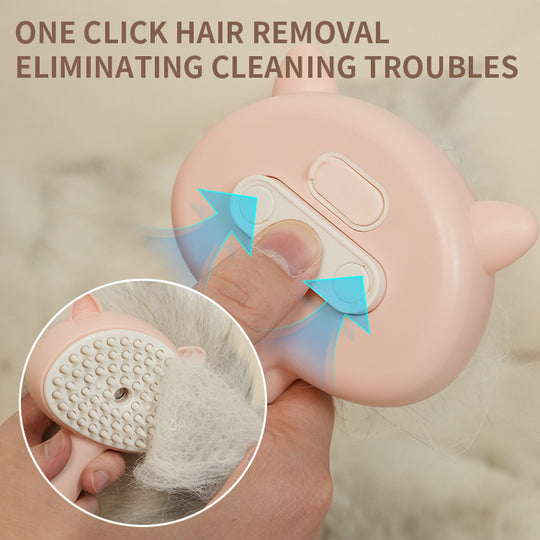 Rechargeable Mist Hair Cleaning Brush